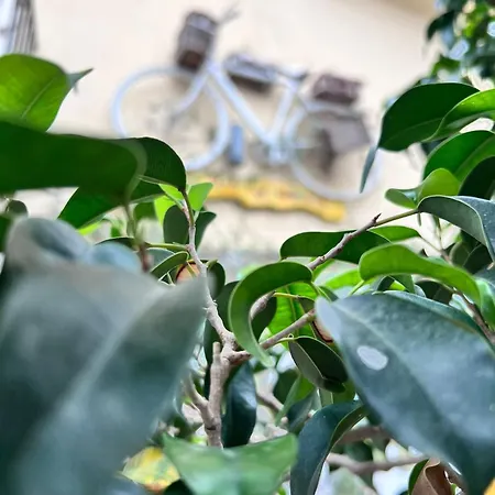 Bahalara Bed and Breakfast